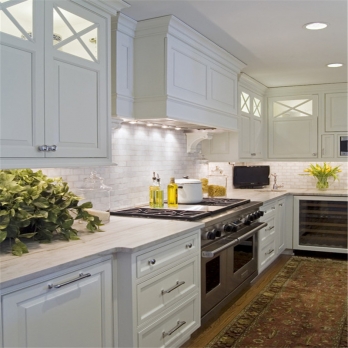 Bianco Macaubas quartzite Countertop